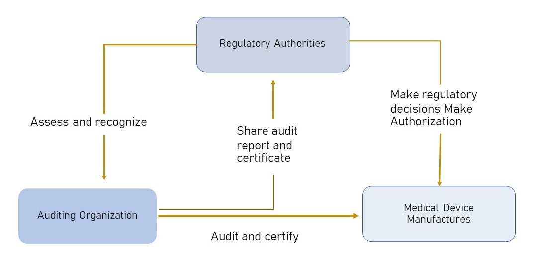 AO Auditing Organizations